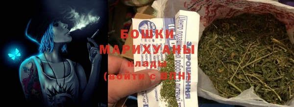 индика Лиски