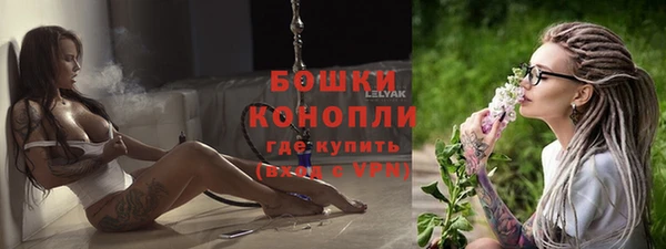 индика Лиски