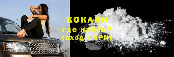 индика Лиски