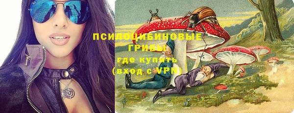 индика Лиски