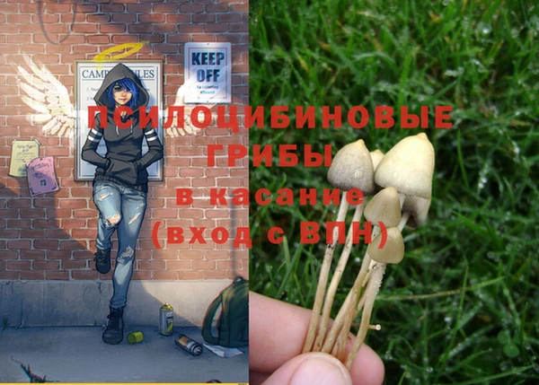 индика Лиски