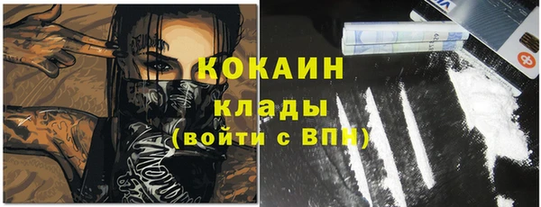 индика Лиски